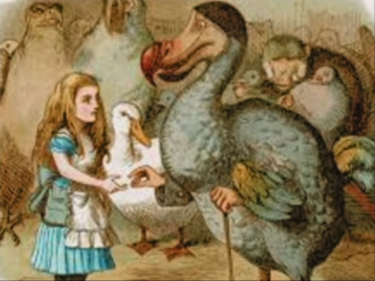 Dodo